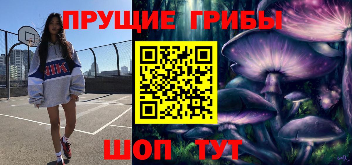 Екатеринбург  Псилоцибиновые грибы Psilocybine cubensis  Вход с VPN  Галлюциногенные грибы Psilocybine cubensis 