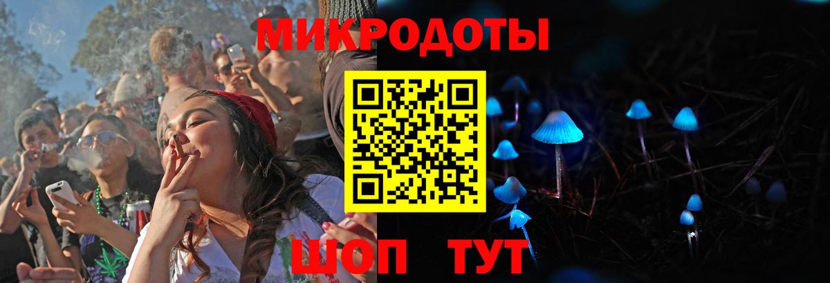Псилоцибиновые грибы Psilocybe Екатеринбург